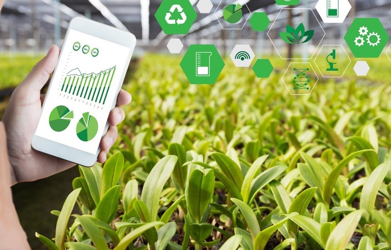 Hình ảnh minh họa ứng dụng trong nông nghiệp thông minh