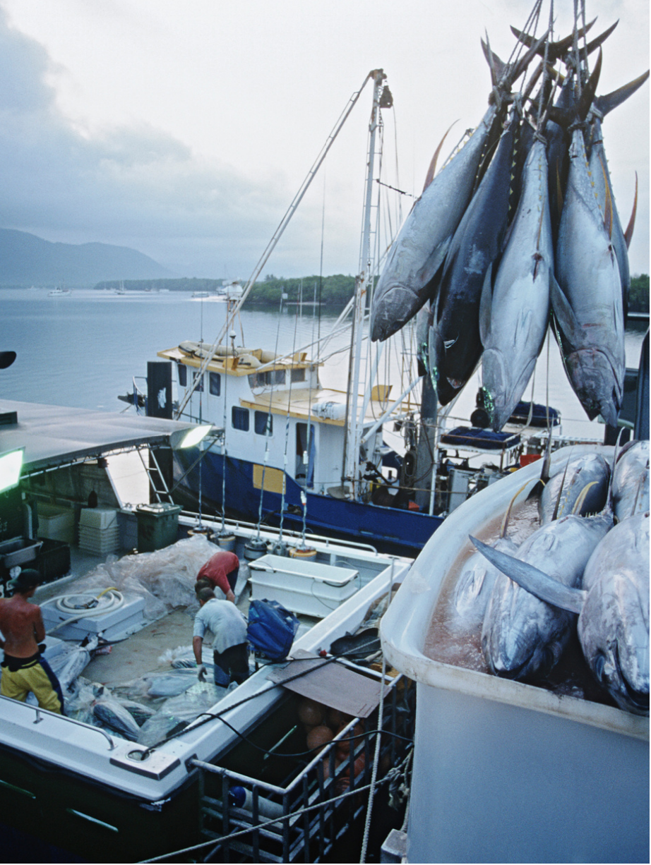 Giải pháp quản lý tàu cá và sản lượng thủy sản