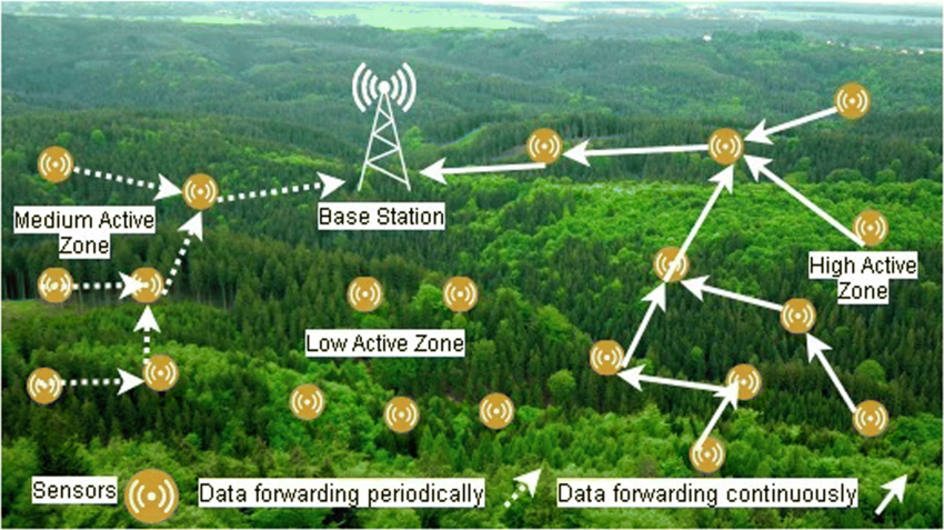 Giải pháp Phòng chống cháy rừng trên bản đồ